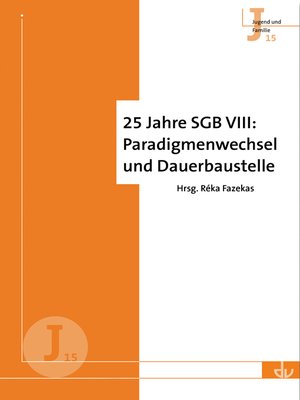 cover image of 25 Jahre SGB VIII